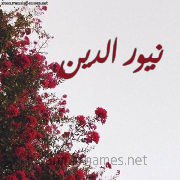 شكل 18 صوره الورد الأحمر للإسم بخط رقعة صورة اسم نيور الدين Nouridin